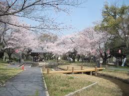 高浜市春日町4丁目の土地(大山緑地公園)
