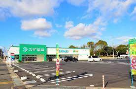 高浜市湯山町８丁目の中古一戸建て(スギ薬局高浜店)