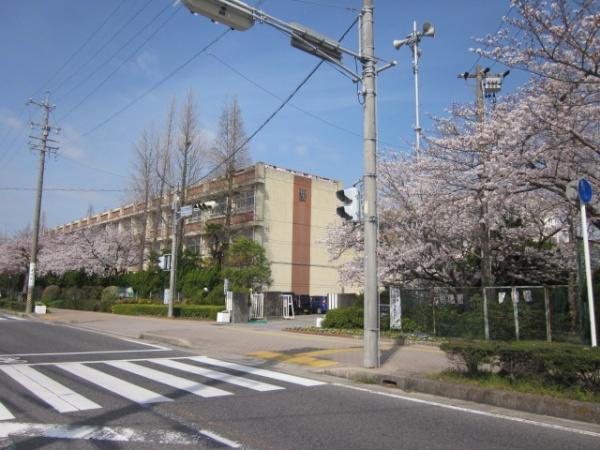 高浜市屋敷町５丁目の土地(高浜中学校)