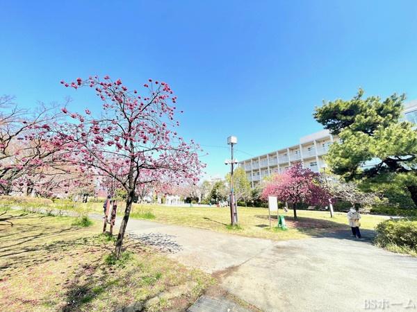 目黒区東山1丁目の土地(目黒区立東山公園)