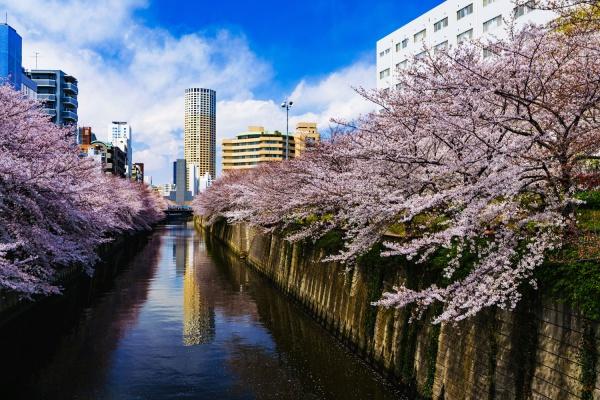 目黒区東山1丁目の土地(目黒川)