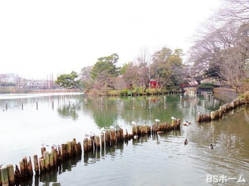 大田区東雪谷1丁目の中古一戸建て(洗足池)