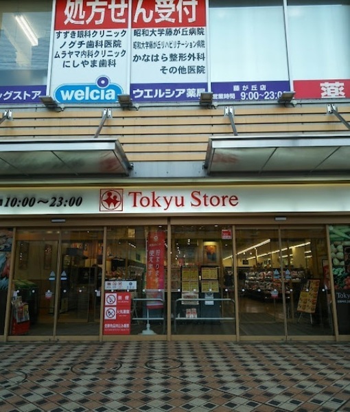 藤が丘ハウス(東急ストア藤が丘店・ウエルシア藤が丘店)