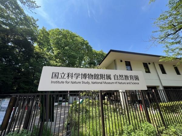 ランドステージ白金台(国立科学博物館付属自然教育園)
