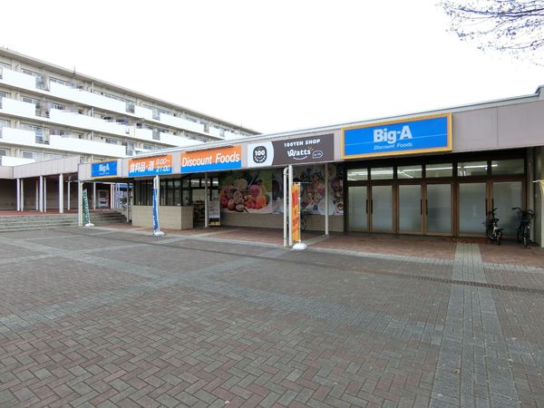 千葉市稲毛区長沼町の土地(ビッグ・エー千葉あやめ台団地店)
