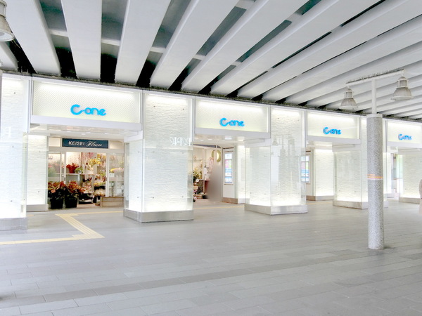 千葉市中央区栄町の土地(千葉ショッピングセンターC－one)