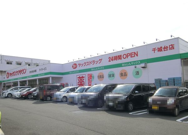 千葉市若葉区千城台西１丁目　１号棟(ヤックスドラッグ千城台店)