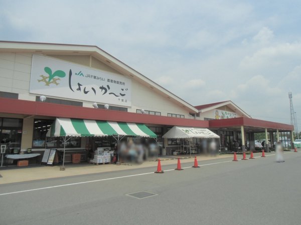 千葉市若葉区千城台西１丁目　２号棟(しょいかーご千葉店)