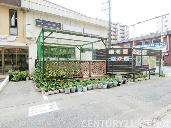 ライネスシティ千葉みなと(いろは保育園)