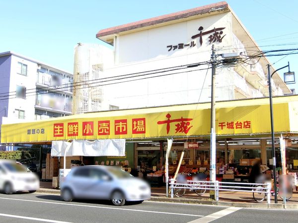 千葉市若葉区千城台東２丁目の土地(生鮮小売市場千城千城台店)
