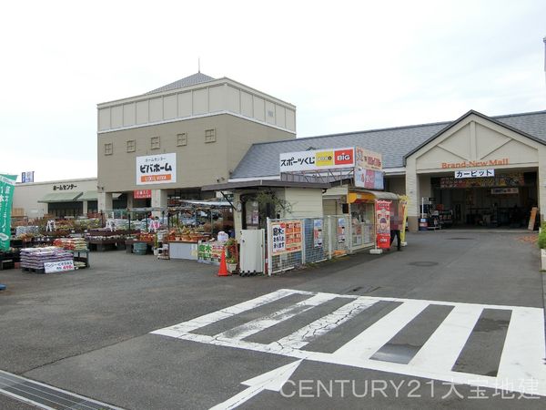 千葉市緑区あすみが丘８丁目　１号棟(ビバホームあすみが丘店)