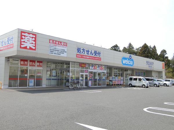 千葉市稲毛区長沼町の土地(ウエルシア千葉長沼店)