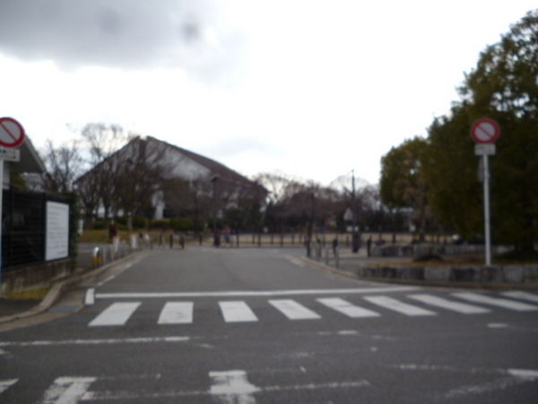 京都市伏見区桃山町泰長老の土地(伏見公園)