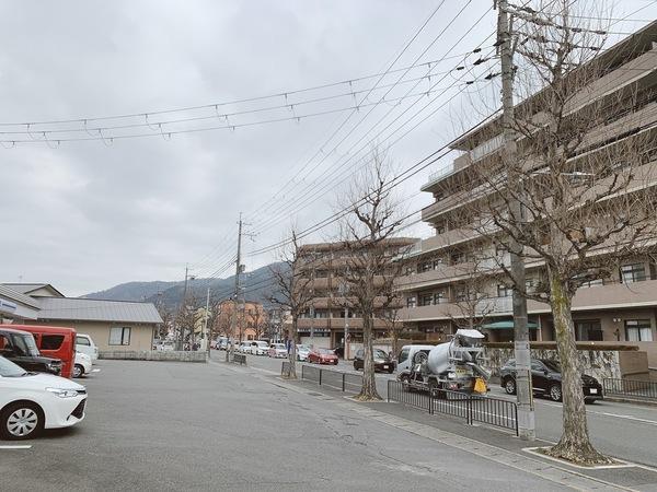 ルネス・ピース醍醐