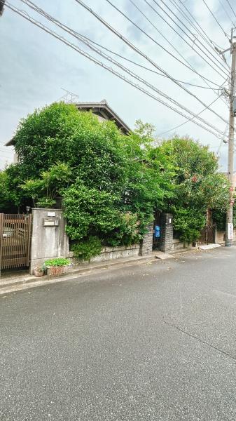 宇治市莵道森本の土地