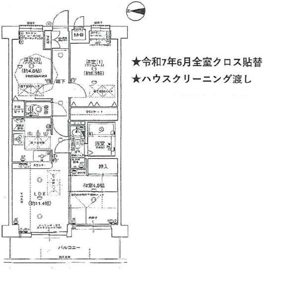 ルネス・ピース醍醐