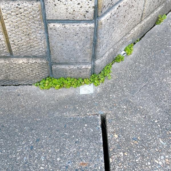 宇治市木幡南山の中古一戸建て