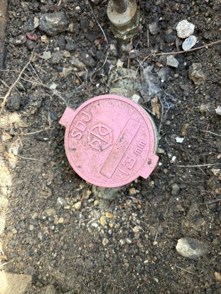 京都市伏見区桃山町西尾の土地