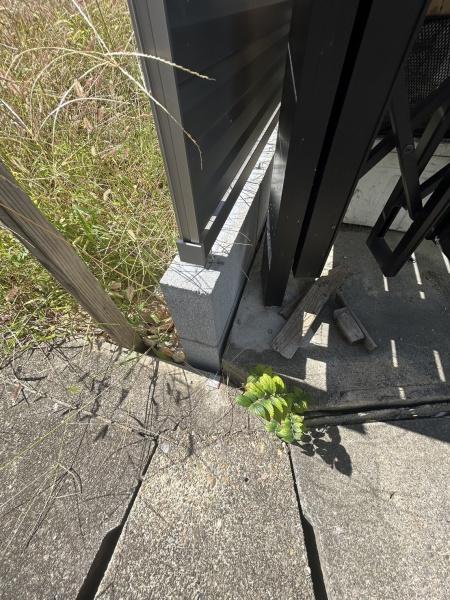 京都市伏見区桃山町大島の土地
