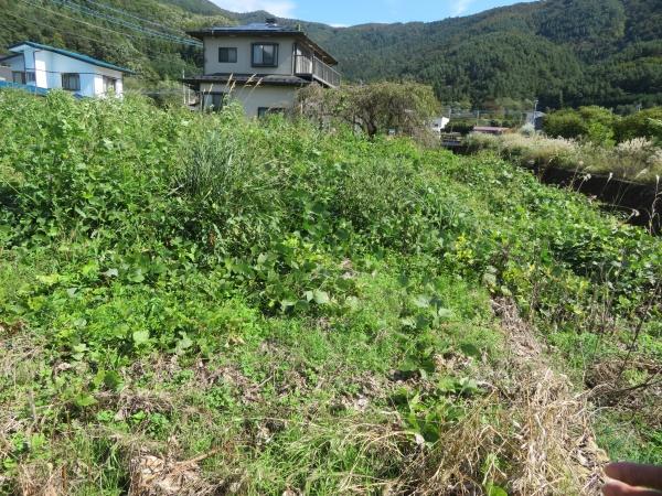南都留郡富士河口湖町河口の土地(その他)