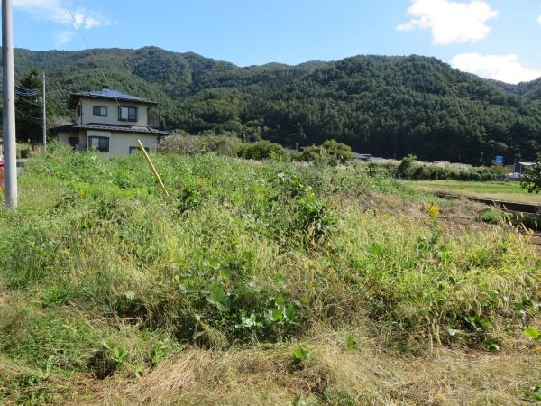 河口土地