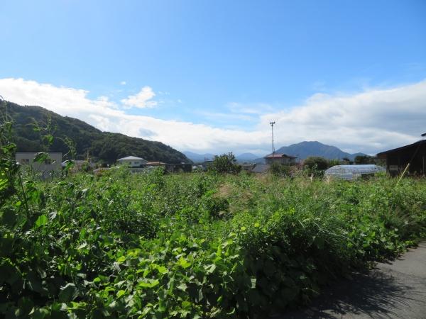 河口土地