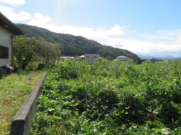 河口土地