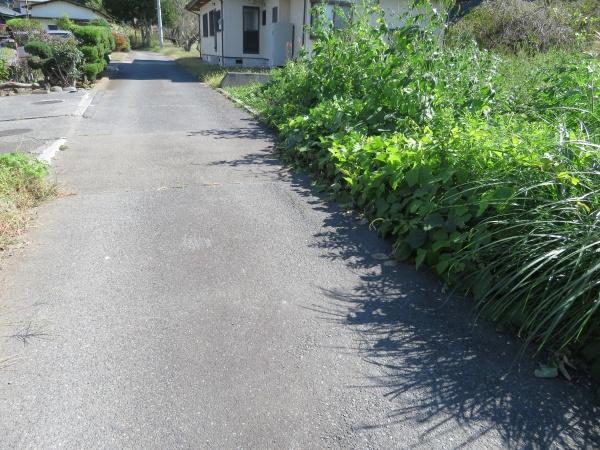 南都留郡富士河口湖町河口の土地(その他)