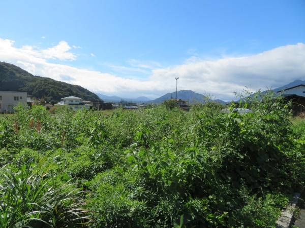南都留郡富士河口湖町河口の土地(その他)