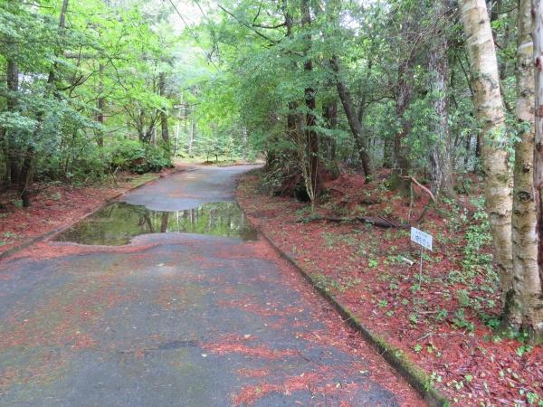 南都留郡鳴沢村鳴沢の土地
