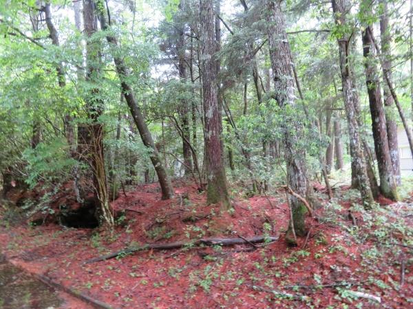 南都留郡鳴沢村鳴沢の土地