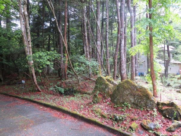 南都留郡鳴沢村鳴沢の土地