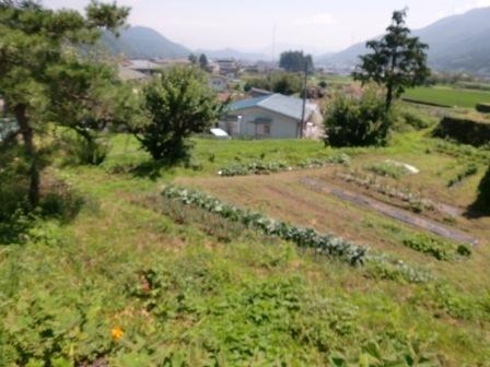 富士吉田市上暮地の土地