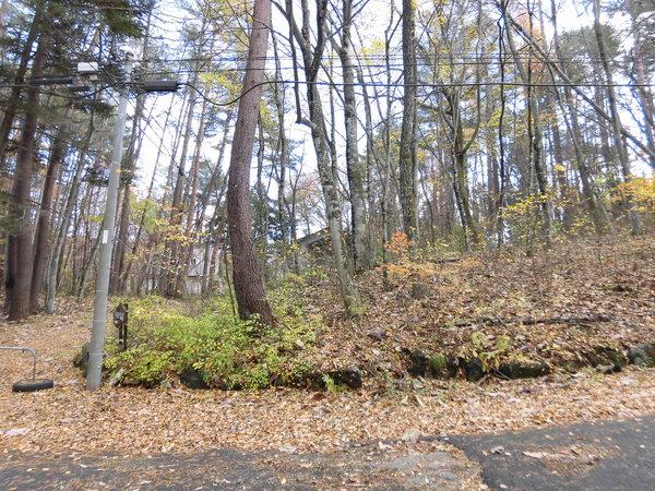 南都留郡鳴沢村鳴沢の土地