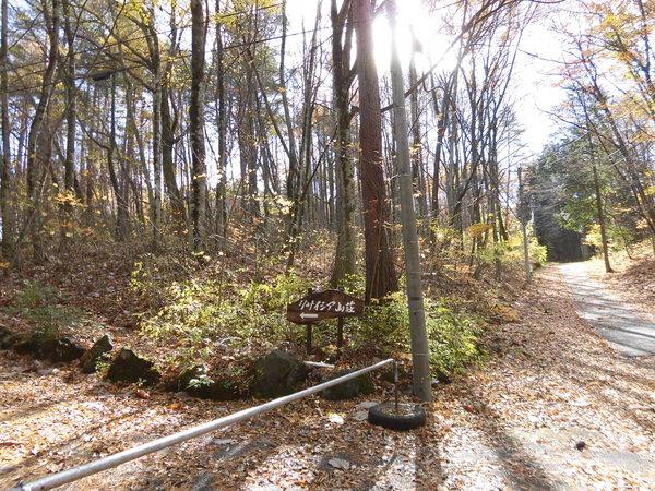 南都留郡鳴沢村鳴沢の土地