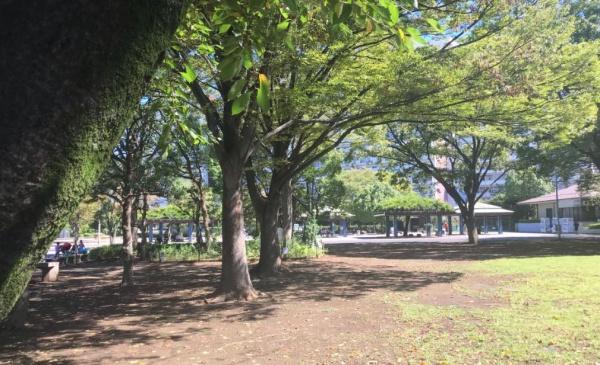 大雄マンション(新小岩公園)