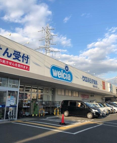 ダイアパレスホワイトテラスグランディア水元公園(ウエルシア葛飾水元店)