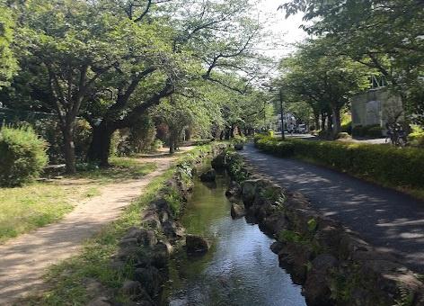 江戸川区下篠崎町の新築一戸建(篠田堀親水緑道)
