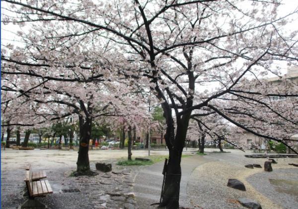 江戸川区松島2丁目の新築一戸建(東小松川公園)