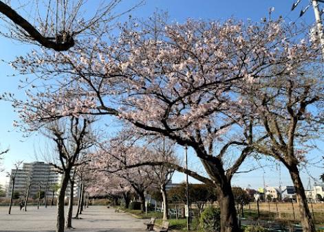モアアペックス西小岩(高砂北公園)
