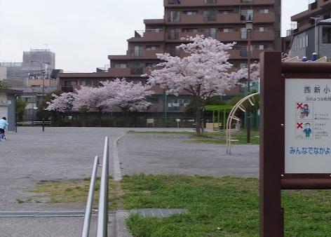 葛飾区西新小岩3丁目の新築一戸建(西新小岩公園)