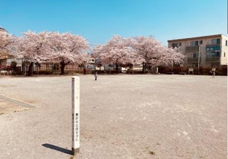 葛飾区鎌倉１丁目の新築一戸建(まんだら公園)