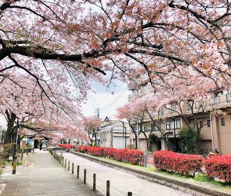 お花茶屋ダイヤモンドマンション(曳舟川親水公園)