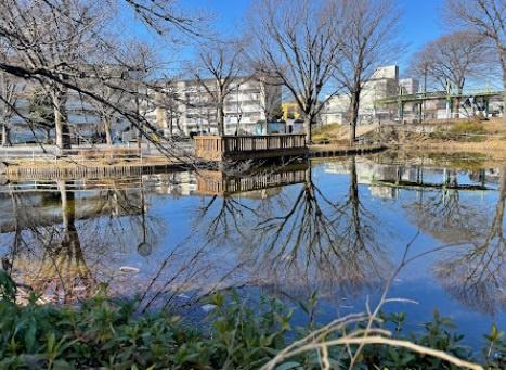 葛飾区金町５丁目の土地(金町公園)