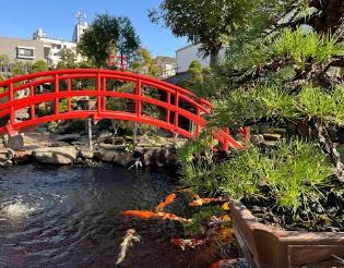 江戸川区新堀１丁目の新築一戸建(春花園BONSAI美術館)
