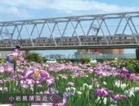 秀和小岩レジデンス(江戸川河川敷緑地)