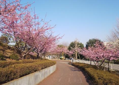 リビオシティ・ルネ葛西(なぎさ公園スポーツ広場)