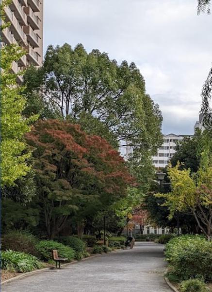 小松川グリーンハイツ１号棟(小松川緑地)