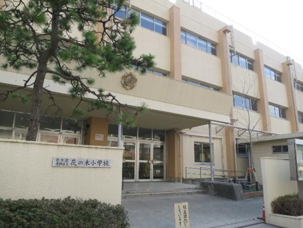 葛飾区南水元４丁目の新築一戸建(葛飾区立花の木小学校)