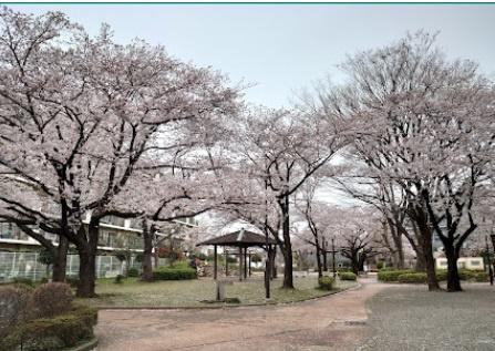 柴又４丁目　エステート柴又(鎌倉公園)